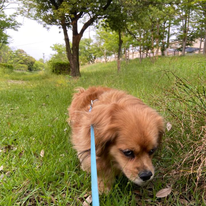 4e8bf2b3 1bb3 497b aa34 0ef827a9295e 1652995766779