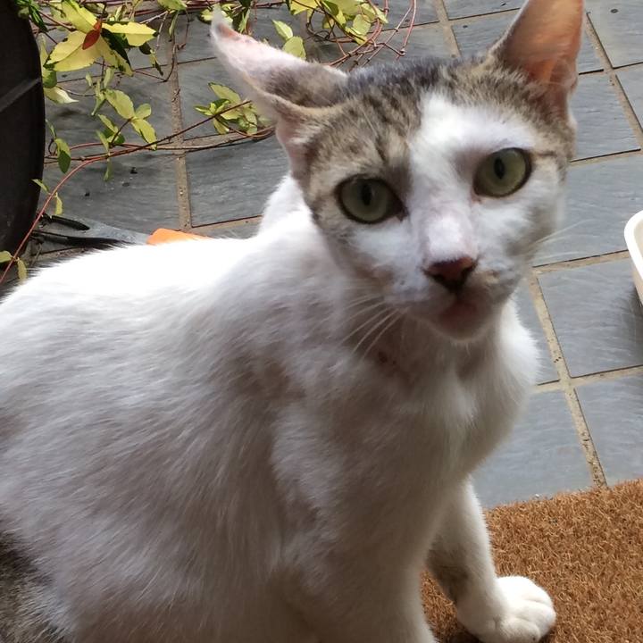 4e8c0fc1 1c97 4c89 ac53 28798c41a3a1 1566805660091