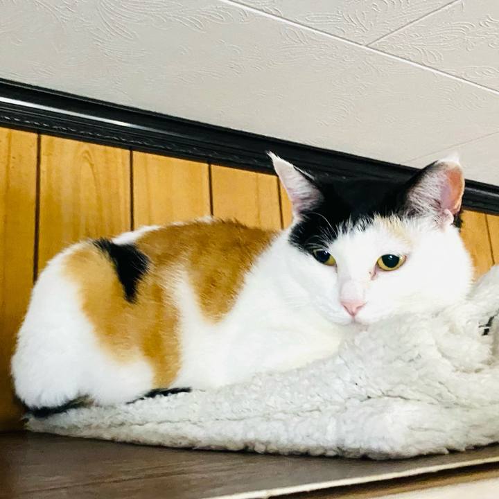 4e8c3f45 94a3 43d8 b6ca 43f57db79618 1682633636166