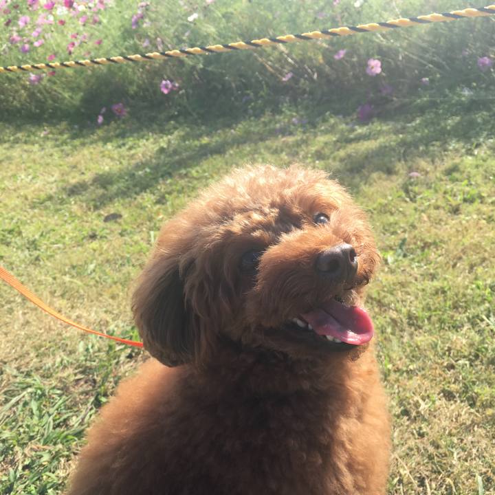 4e8c7896 2a4d 4e07 b23d 10b2e188fab1 1540704275290