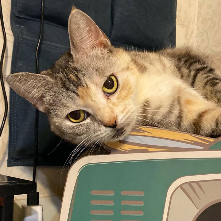 4e8c8b92 9ce3 4891 b445 051b9f5549ee 1633554690455