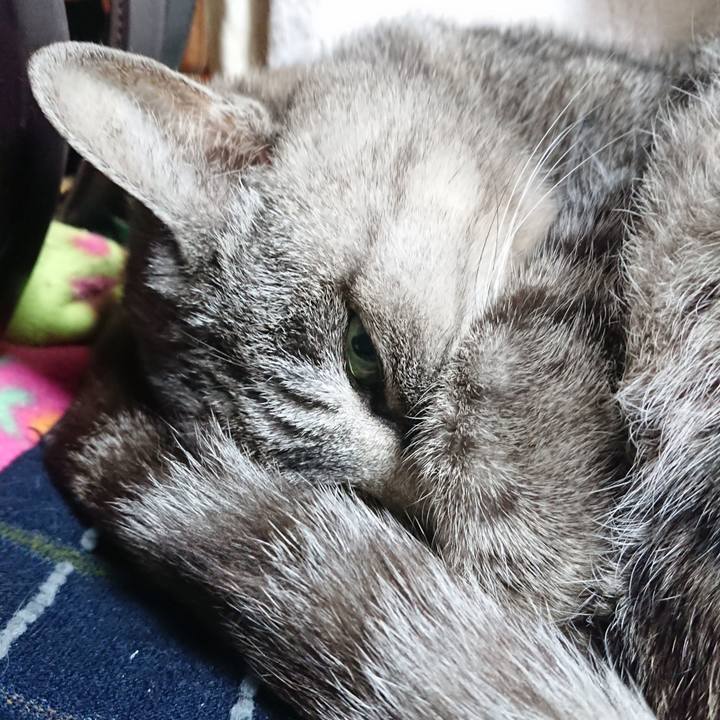 4e8c8dd4 4365 4b62 87fe 5f80c0e22f76 1604178702012