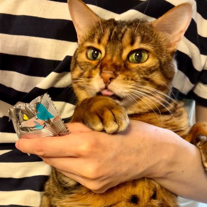 4e8c9c18 fa2a 488b 9fe6 986e98bed2d4 1657489676108