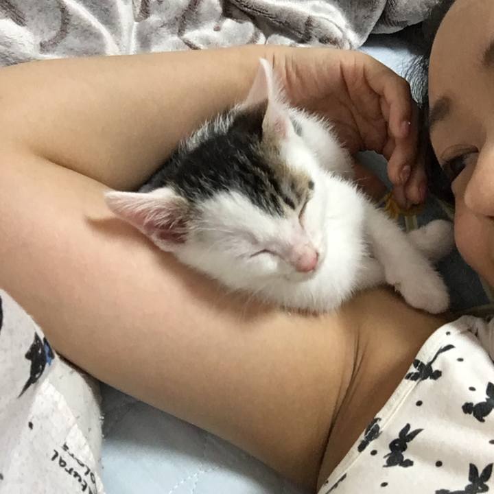 4e8cba75 ff35 4a60 8850 52d29daa70c0 1533306000881