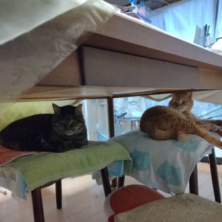 4e8cbf0a 7b82 4ae8 b640 8fe2ceb65c89 1704060830060