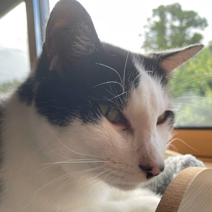 4e8d24aa 99cf 410d 896e 55bb021c10a4 1661066550456