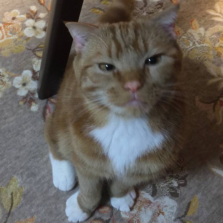 4e8d25c9 4040 437a bec9 21382b9ad0f8 1524267239280