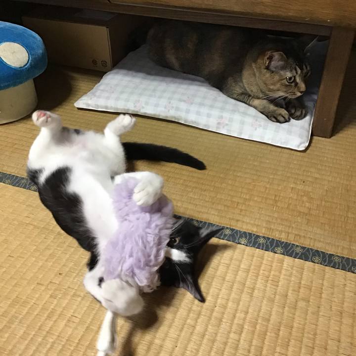 4e8d2944 437a 4634 8929 9154ce3eea3d 1628475391143