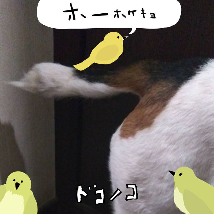 4e8d3289 4481 4622 b60f 05d6b4673b8a 1711375997617