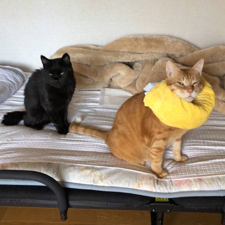 4e8d4a4d 1ed8 4b0d 8722 628882dfa320 1600646252645