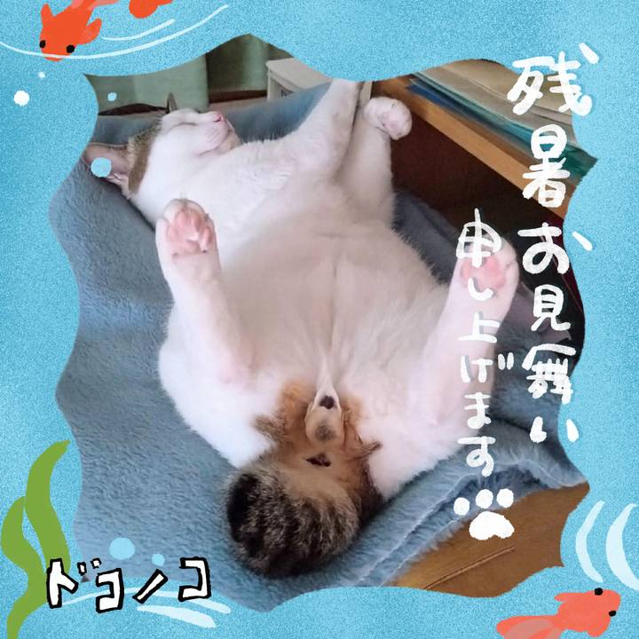 4e8d4b3d ad19 40b6 91ad fbeac5c62f10 1723202300910