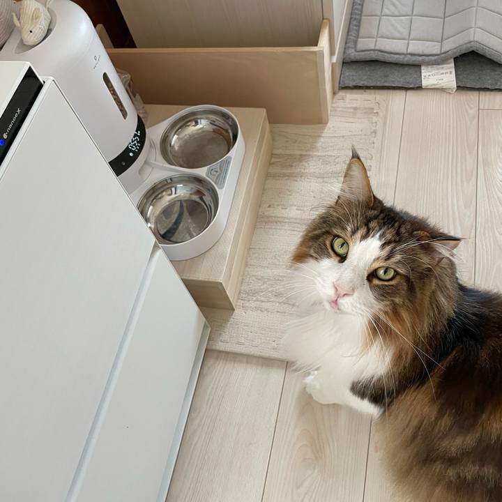 4e8d6eaa f40d 44a0 9edf 143a716e3836 1718485243889