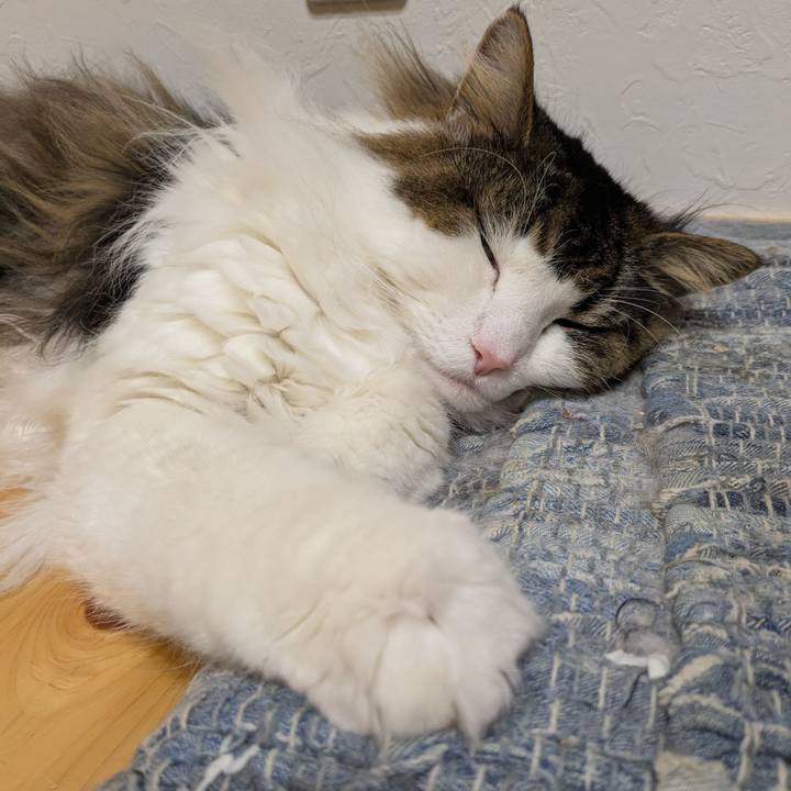 4e8dbf23 4f9b 41c5 b840 e2e5f8fc7adc 1762517811076