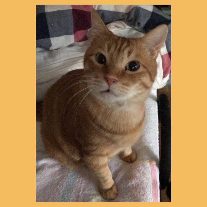 4e8dc86a 0092 4fd6 b90a cc16c882ec61 1587067373285