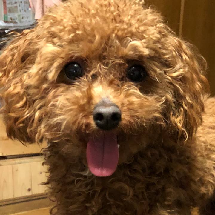 4e8dcb98 e970 4cdc 977d 485dd3eecbab 1522881471048