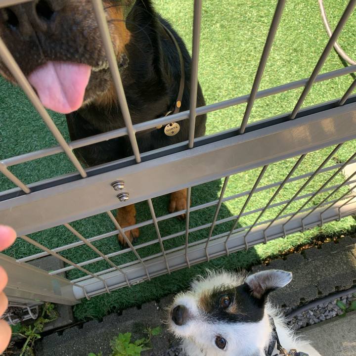 4e8e0515 1671 4c0b b779 56855f8ff5f1 1718754832032