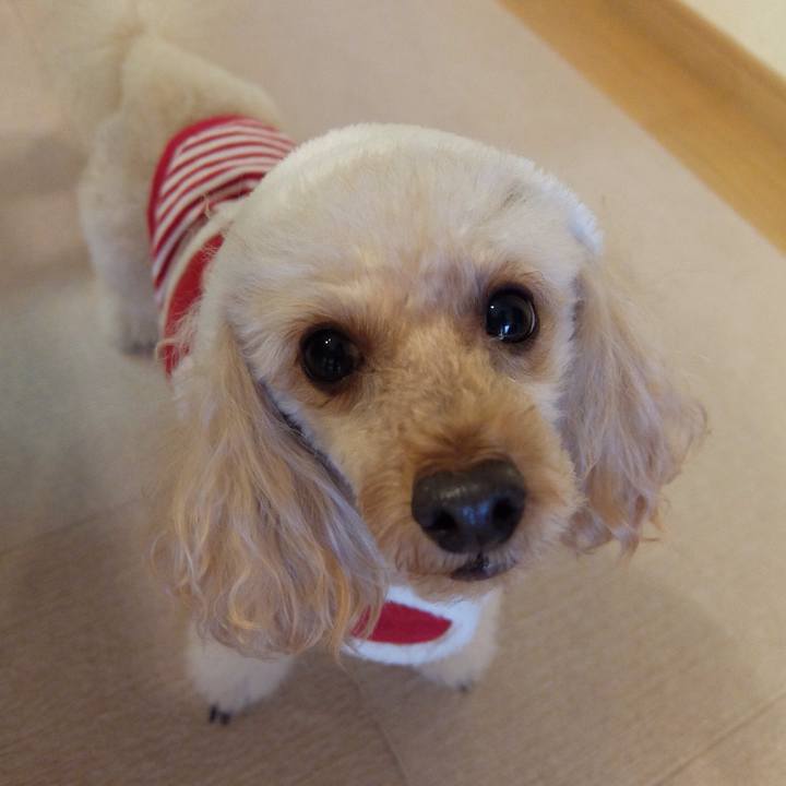 4e8e4309 f949 4593 bdc3 e34f099e7481 1577136568913