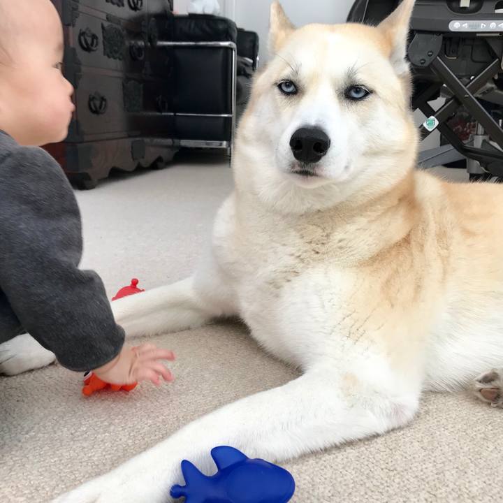 4e8e84f6 221d 4eff b1f8 1139d7a34e78 1546225015822