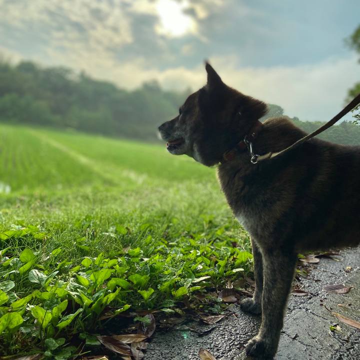 4e8eda2a 9da3 429c 9166 2bb7adc867d9 1591939719074