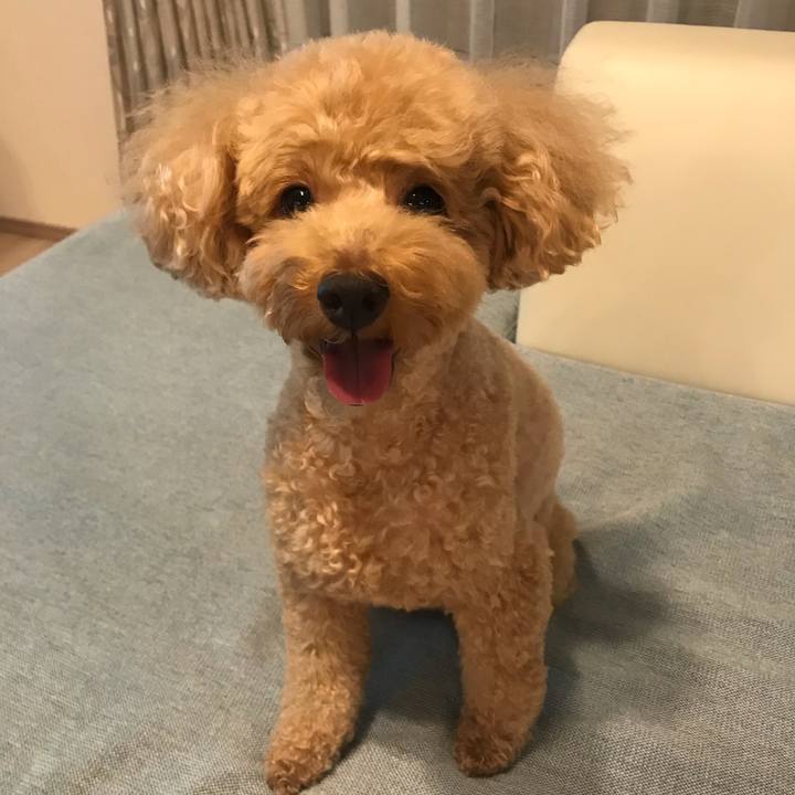 4e8ee91a 13b8 4cc6 90c4 7ed8f1232375 1572267475818