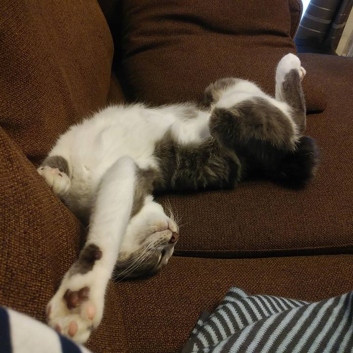 4e8ef604 b0a7 4240 a4cd e67a97f922a8 1592557394870