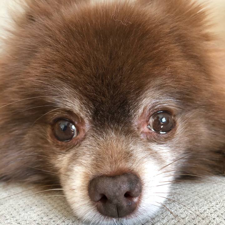 4e8f0eec 563e 4ad9 bbca dad778bfd6e4 1614392966055