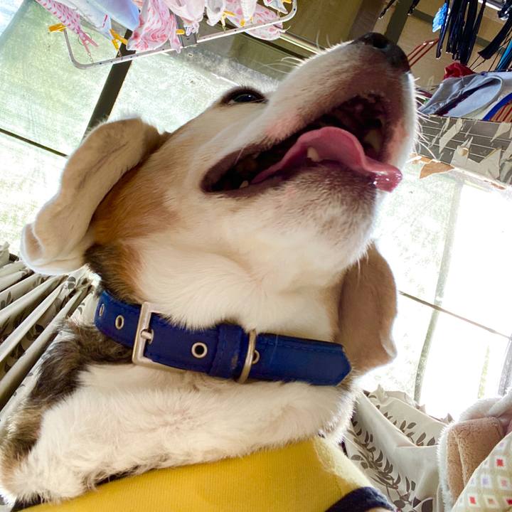 4e8f16be f835 4359 af9e 960d05a28f44 1590637248629