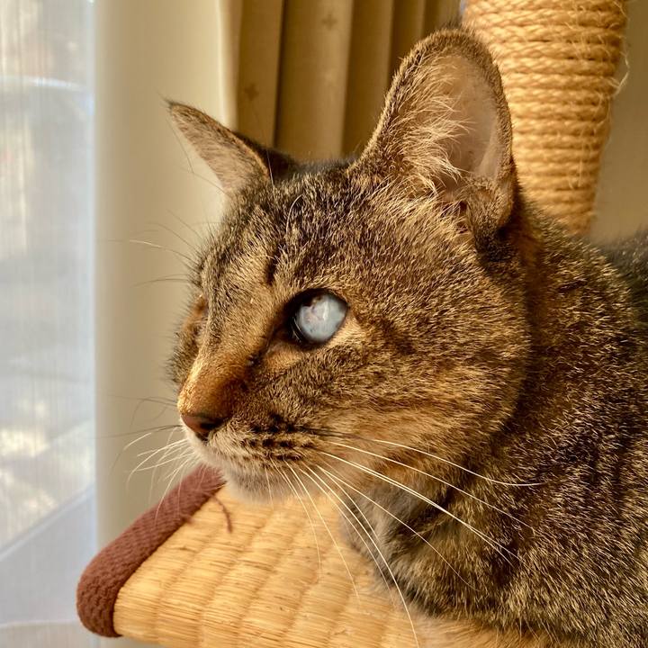 4e8f23ee 06fb 47fe 95eb b7e4c9ab471c 1672814911391