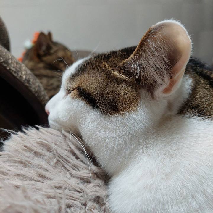 4e8f49a7 b2bc 4681 8964 8e8b63ecb7bd 1741902660264