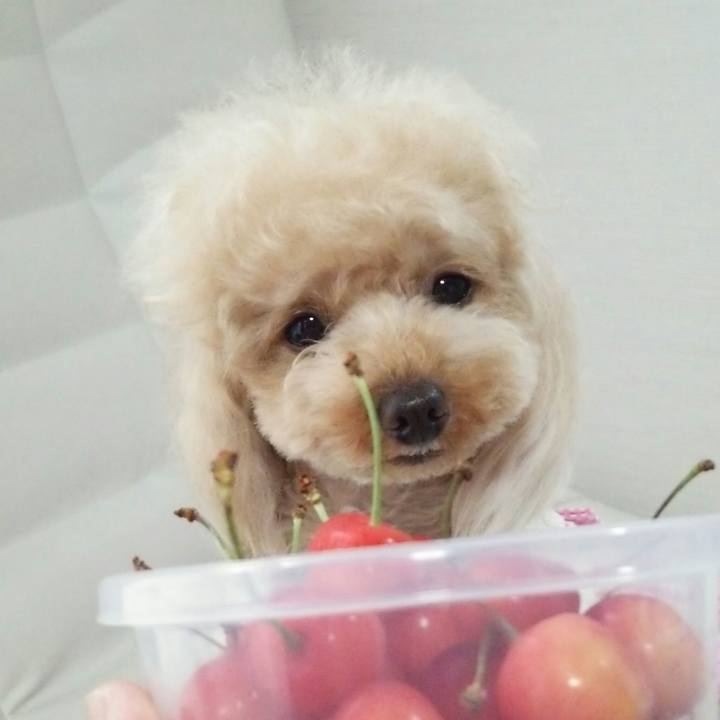 4e8f51bc 8aff 432f 9ed1 b41937aba1f9 1529494601283