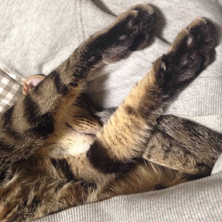 4e8f5955 5432 4911 bf08 52cfaf9ee4f2 1509273458385