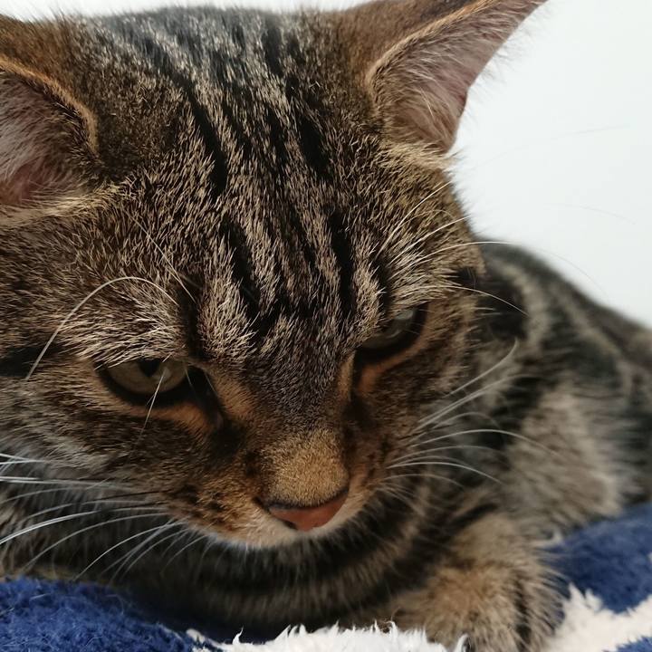 4e8f63bb 0ea9 43fc 8422 99482c84529b 1526697332065