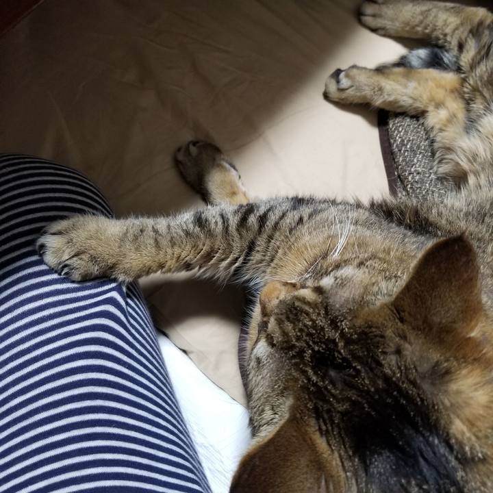 4e8f7c41 c347 4ddc ae22 b6a82aa19011 1611574942495