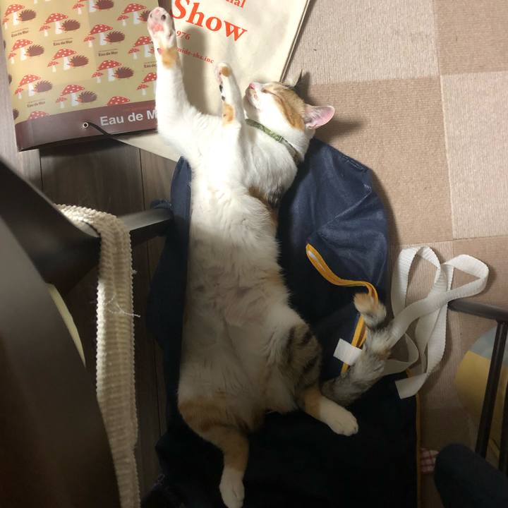 4e8fd7a7 bb8c 4cb1 b766 e7028fa92db8 1594646876257