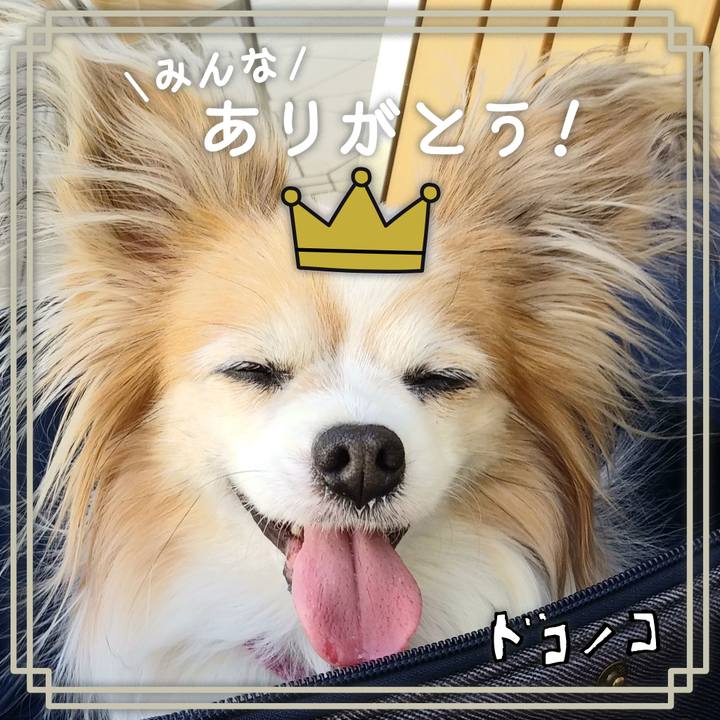 4e8fdebe d65e 46aa 9e33 a7f823b037a4 1622899020118