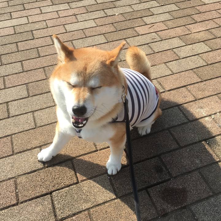 4e8fef09 87e1 4474 a33a 578c41e0c085 1543896375911