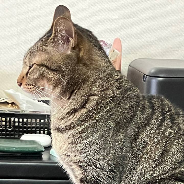 4e8ffa60 5ce4 47e1 9ae4 6150d6697e73 1760319181536