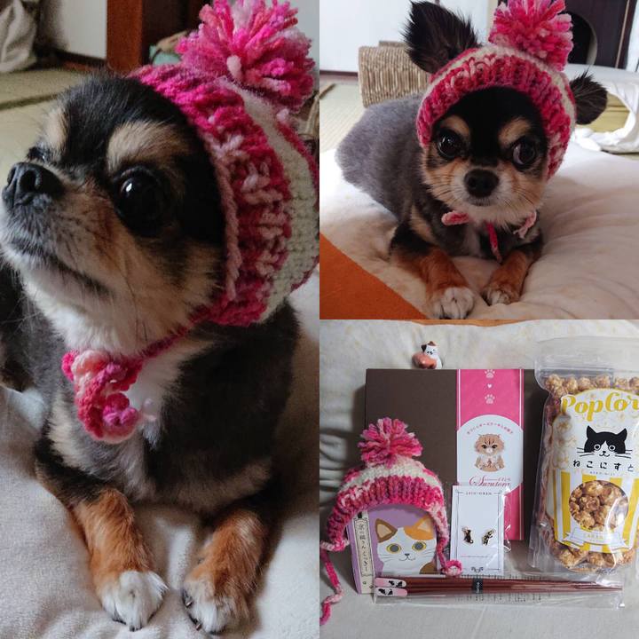 4e904b53 be7f 44ee a3d4 92d472a67a52 1596263439802