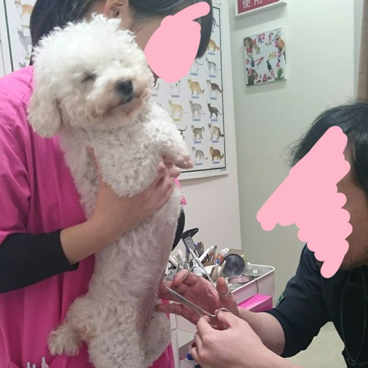 4e905305 22e9 4431 a828 fe93d673c8f9 1512741133470