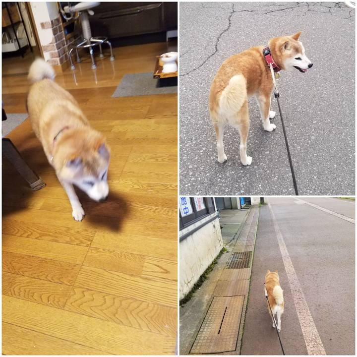 4e90582f 7879 40f5 ae40 0e214b918dea 1757835829882