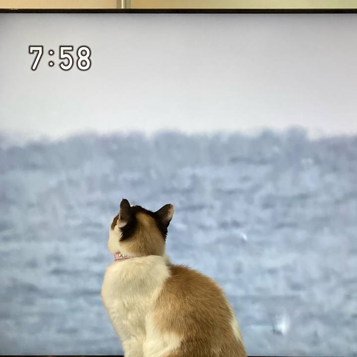 4e906cb7 71c1 44e3 b0ec 0fbe3b6ee52e 1647730822032