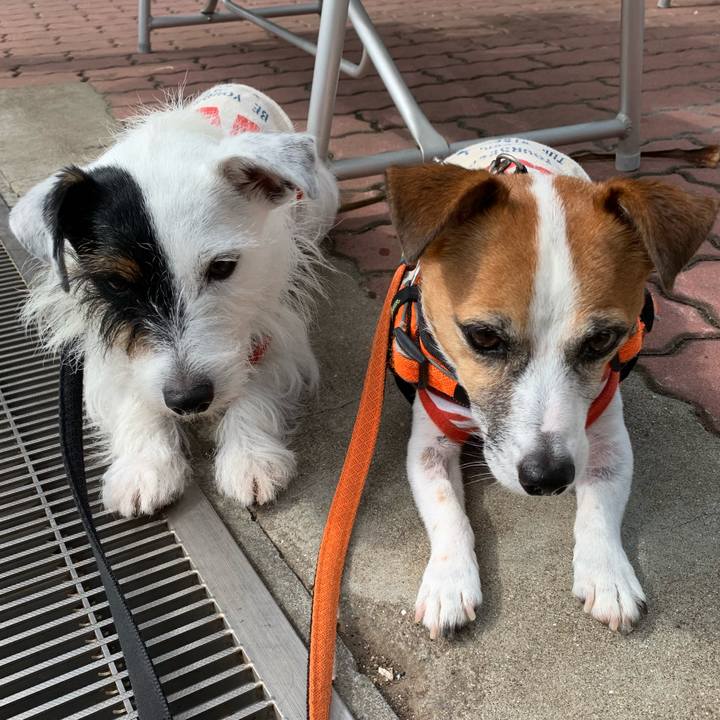 4e908c8d c073 475b a906 841e829804b2 1571544728413