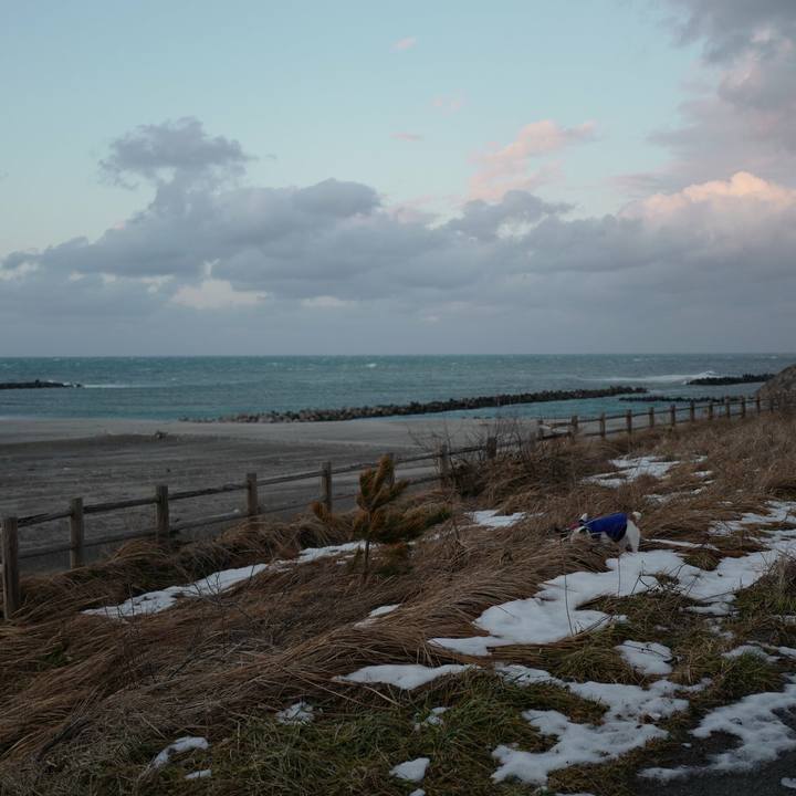 4e90aa80 4345 4072 be08 cba3d206a993 1517718658971