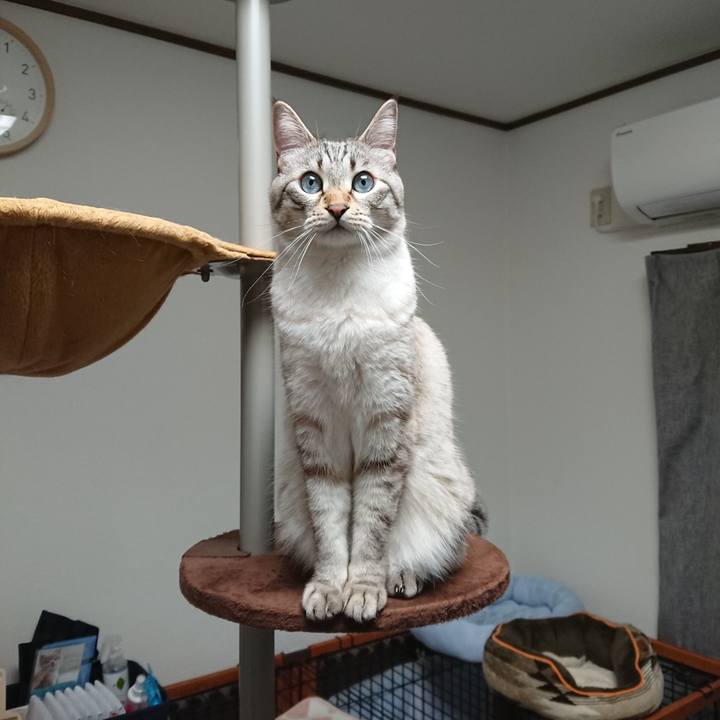 4e90acab b504 4c46 805d d40a6131f686 1556189564025