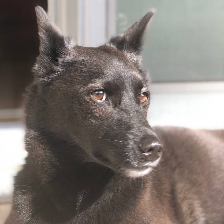 4e90ebd9 f02e 4c13 baa0 7ba9e7ade91b 1599273923036