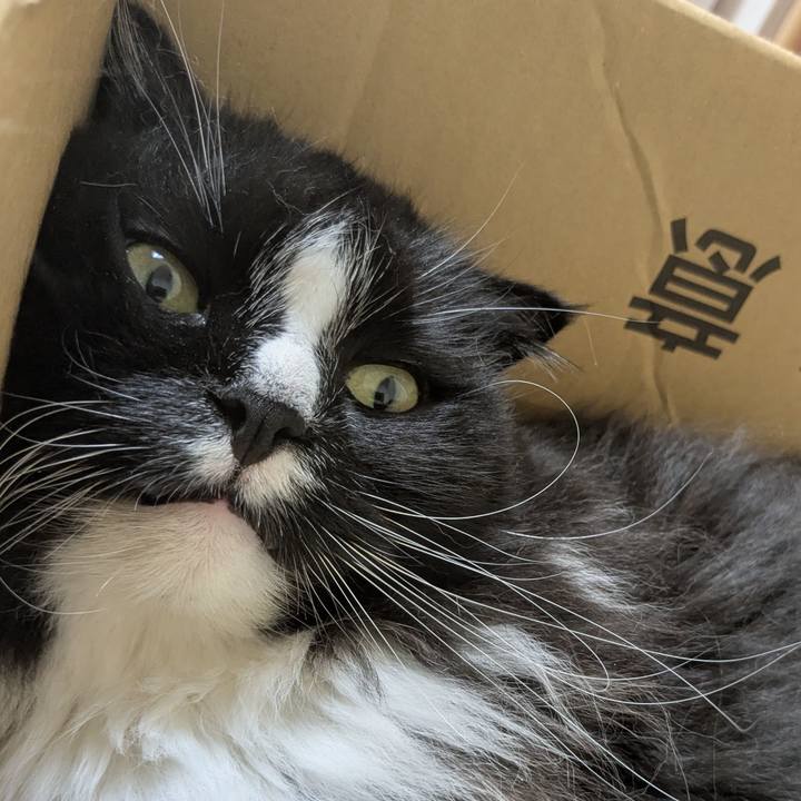 4e90edb0 d812 4a01 9ded 7ae0682de04a 1750403696204