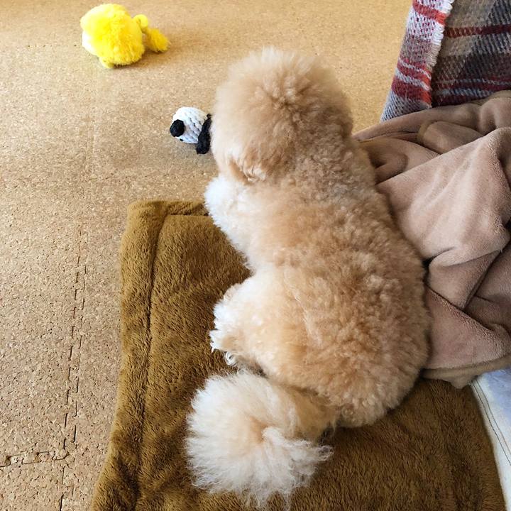 4e910f9a cfd0 4dc5 91e1 53bfce01a1b8 1524120725471