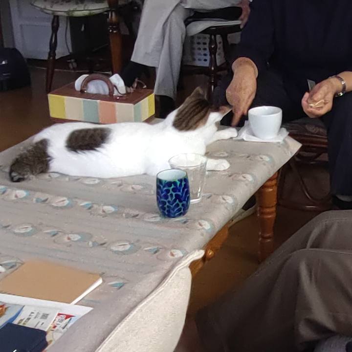 4e915ab1 7f76 497b a8f8 c372d9e653b9 1695199159713