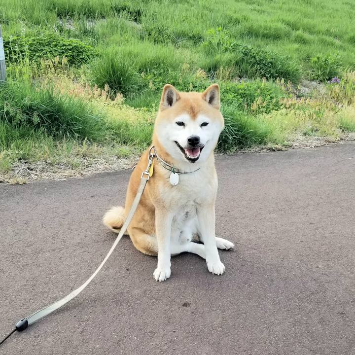 4e917e8d d188 4d26 8f40 f6b349742e5d 1620894147277