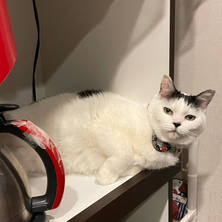 4e924c77 c40f 4159 b662 385c04e34d1f 1736692378551